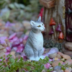Little Grey Cat