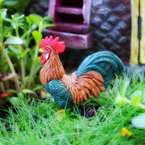 Mr Rooster