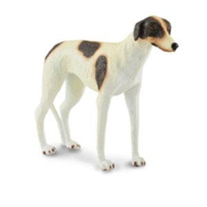 Greyhound (Discontinued)